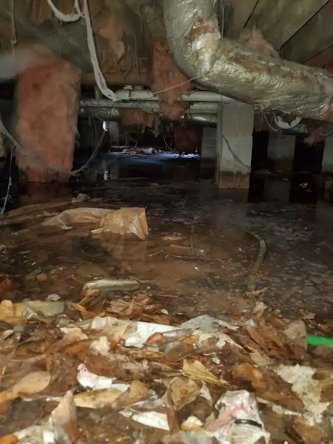 Crawl space flood assessment for Leak Detection & Repair in Delafield