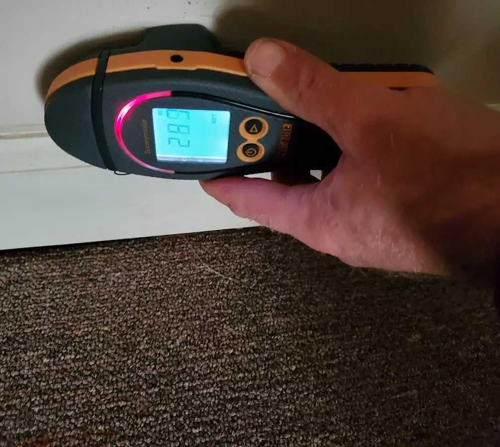 Moisture detection at baseboard during Sewage Cleanup & Sanitation in Delafield